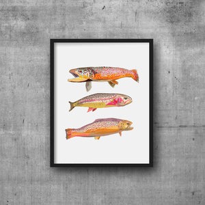 Art Print Triple Trout