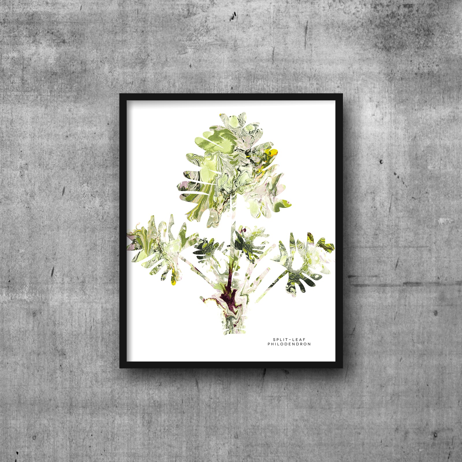 SPLIT LEAF PHILODENDRON Art Print 8x10
